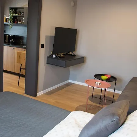 Old Town Premium Apartments- Free Parking * Mostar