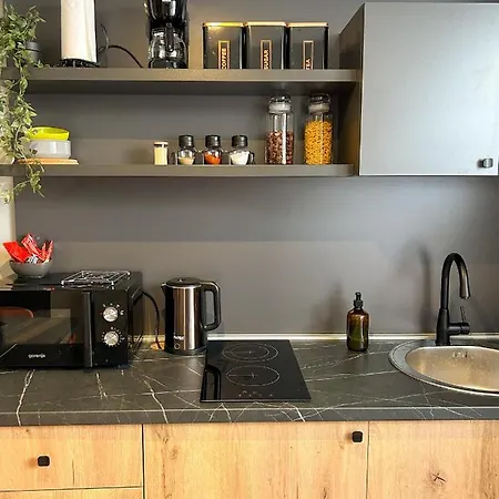 Apartment Old Town Premium Apartments- Free Parking