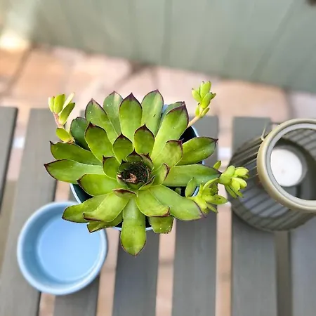 Old Town Premium Apartments- Free Parking Appartamento