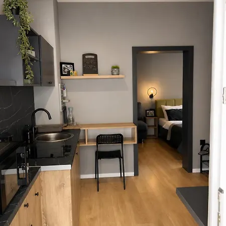 아파트 Old Town Premium Apartments- Free Parking 모스타르
